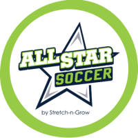 All-Star Soccer
